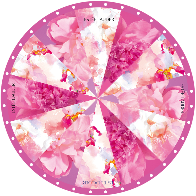 Spin wheel